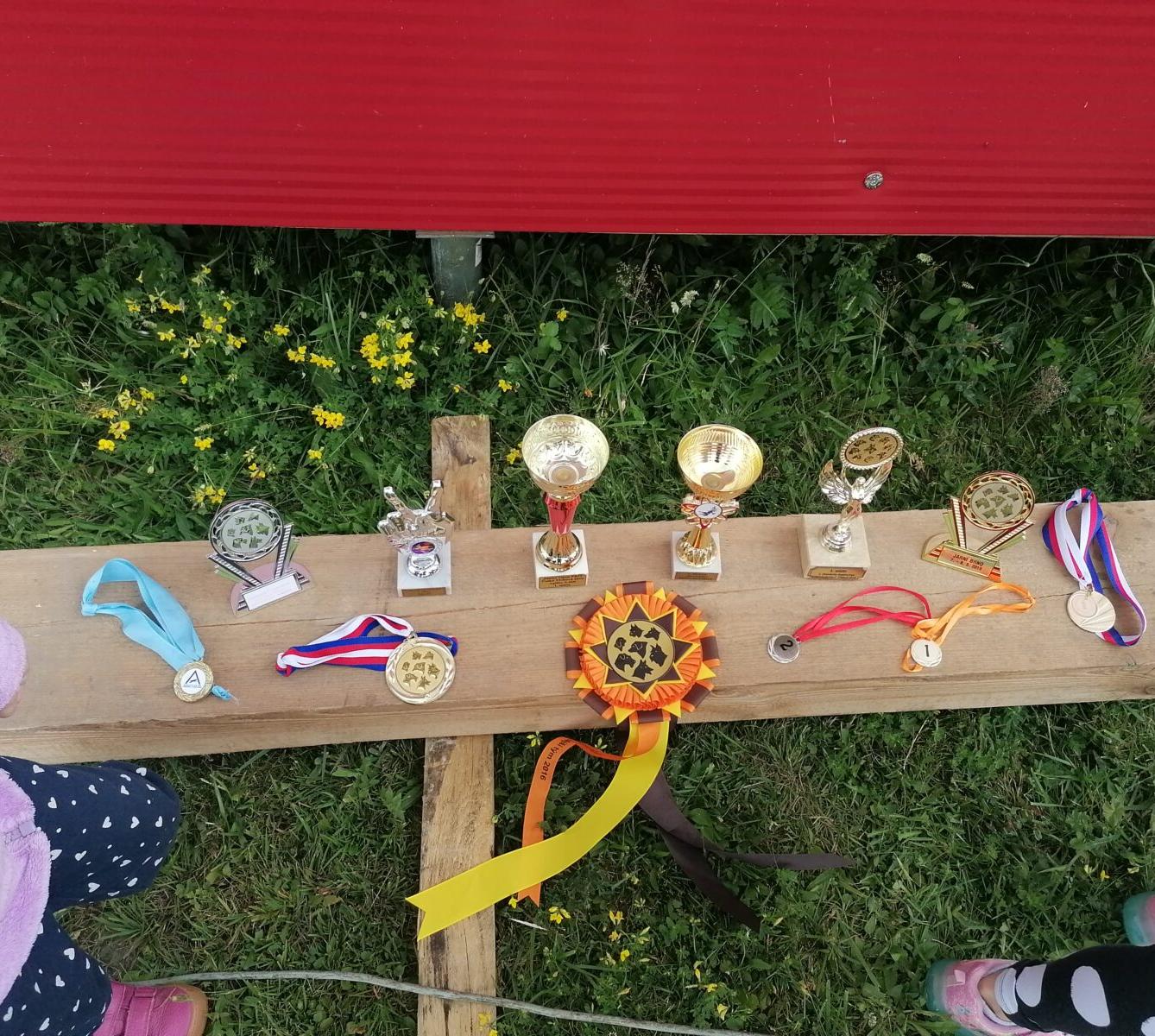 JDEME SE PODÍVAT NA PEJSKY :-) - 22