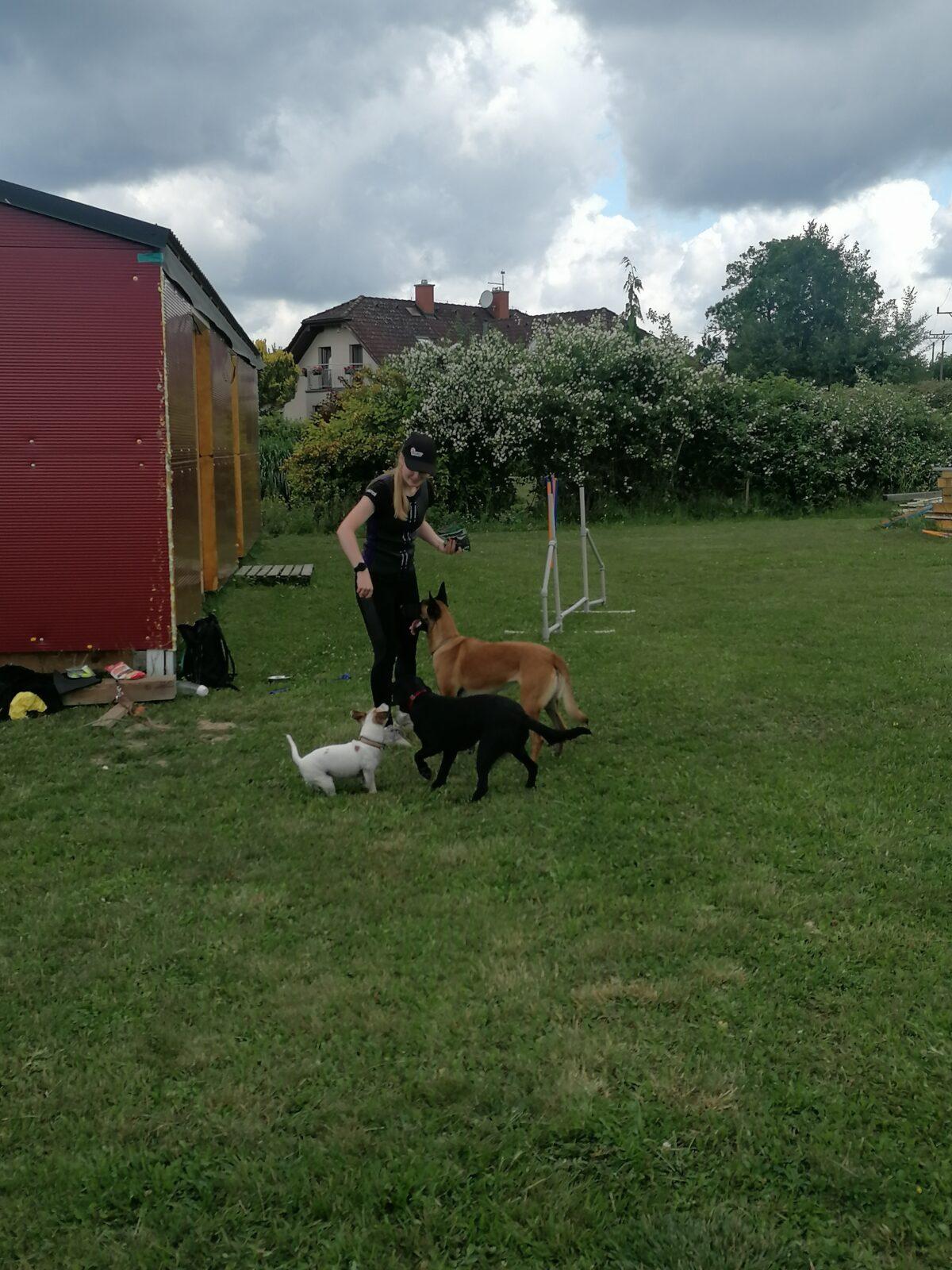 JDEME SE PODÍVAT NA PEJSKY :-) - 23