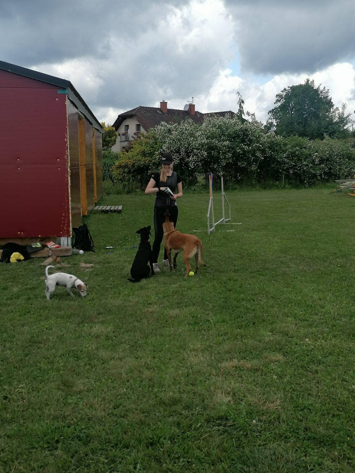 JDEME SE PODÍVAT NA PEJSKY :-) - 24