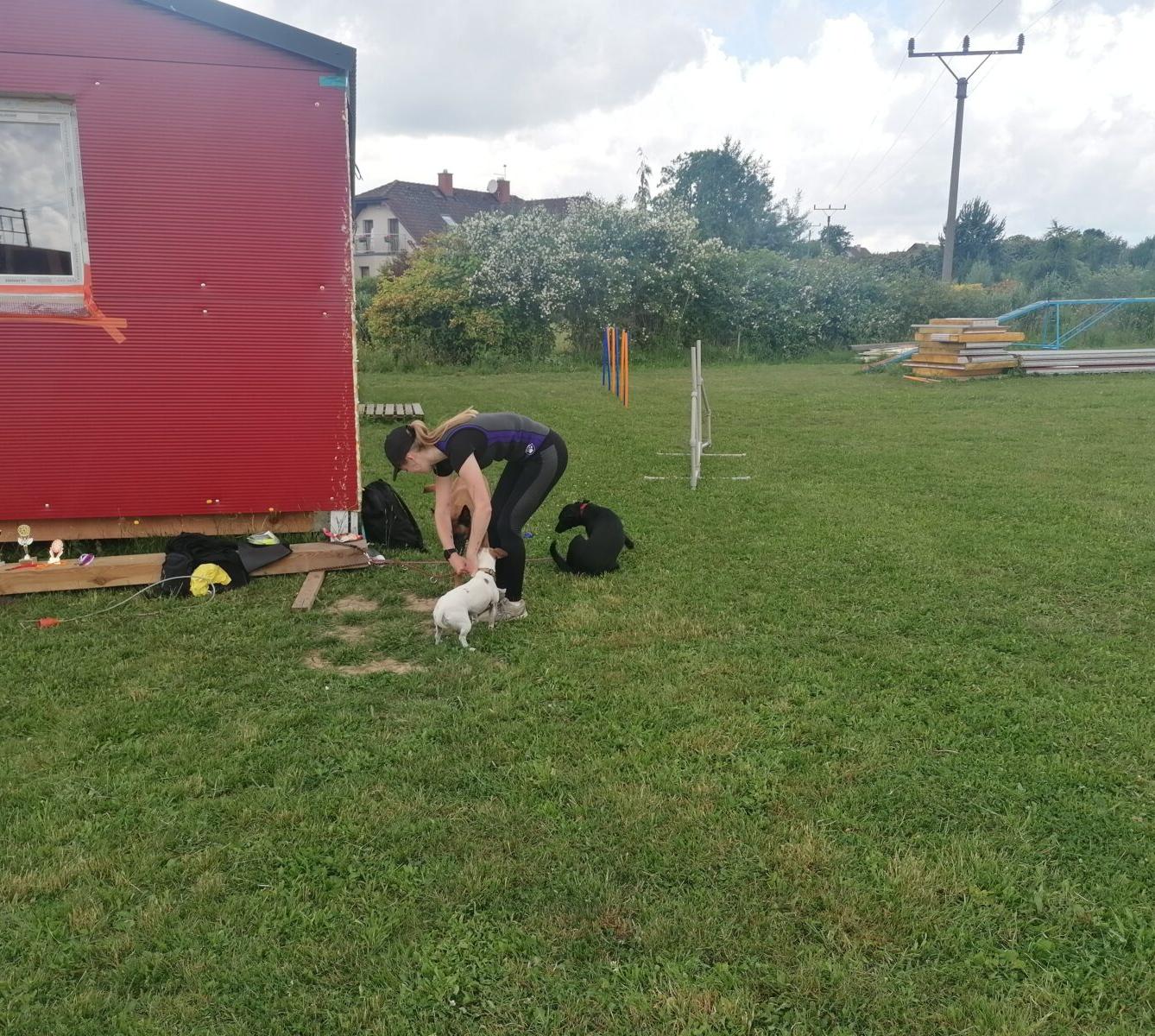 JDEME SE PODÍVAT NA PEJSKY :-) - 33