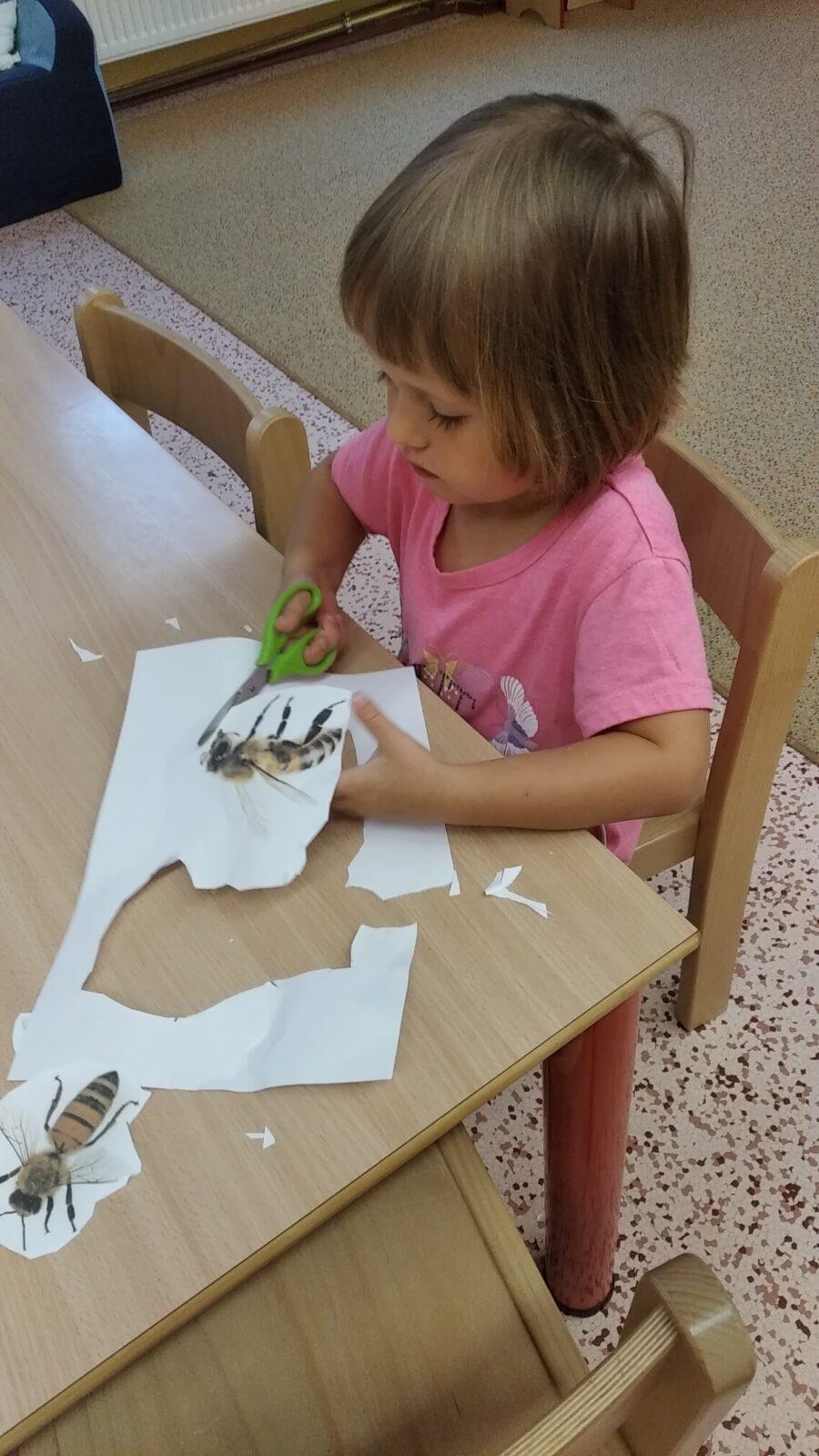 TÝDENNÍ PROJEKT 2 : ,,OD KYTIČKY K MEDU“ - 16