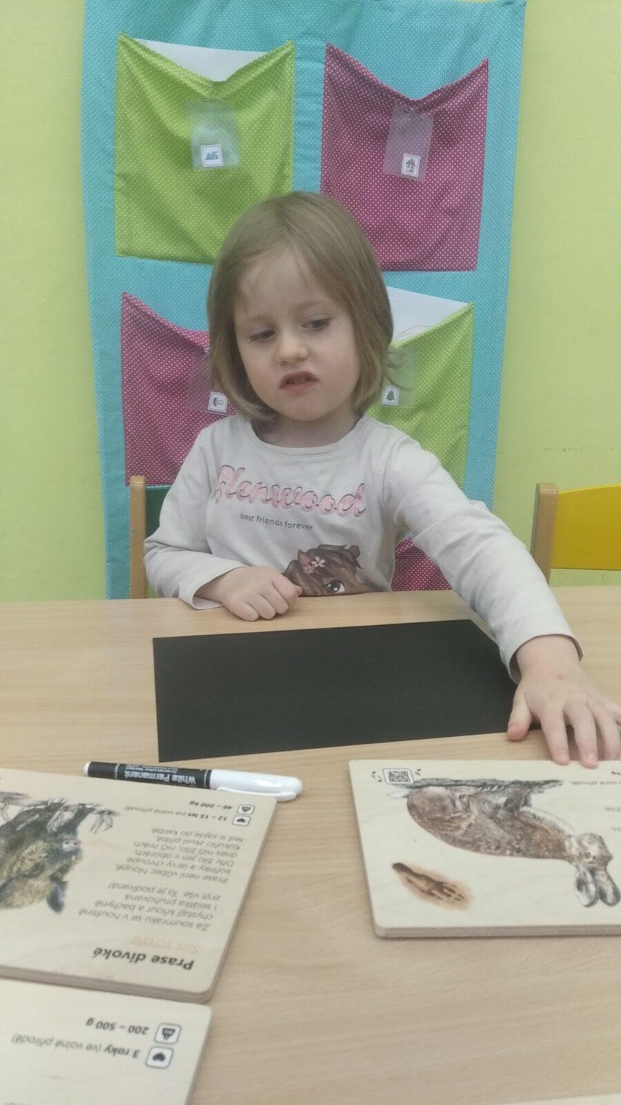 broučci: tvoření - zvířátka - 2