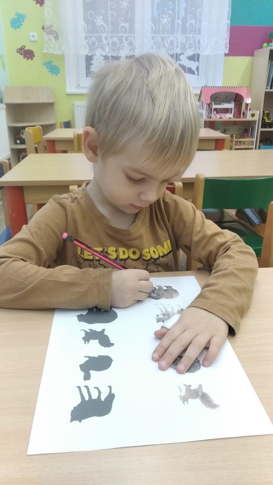 broučci: tvoření - zvířátka - 19