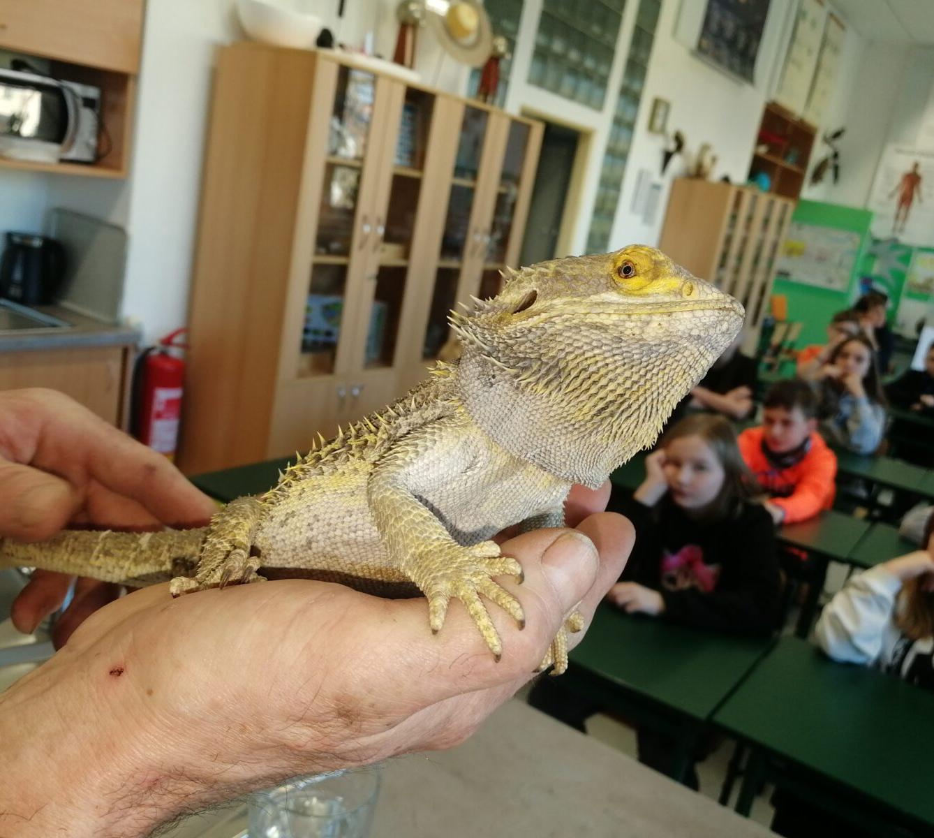 Exotická zvířata - přednáška - 1