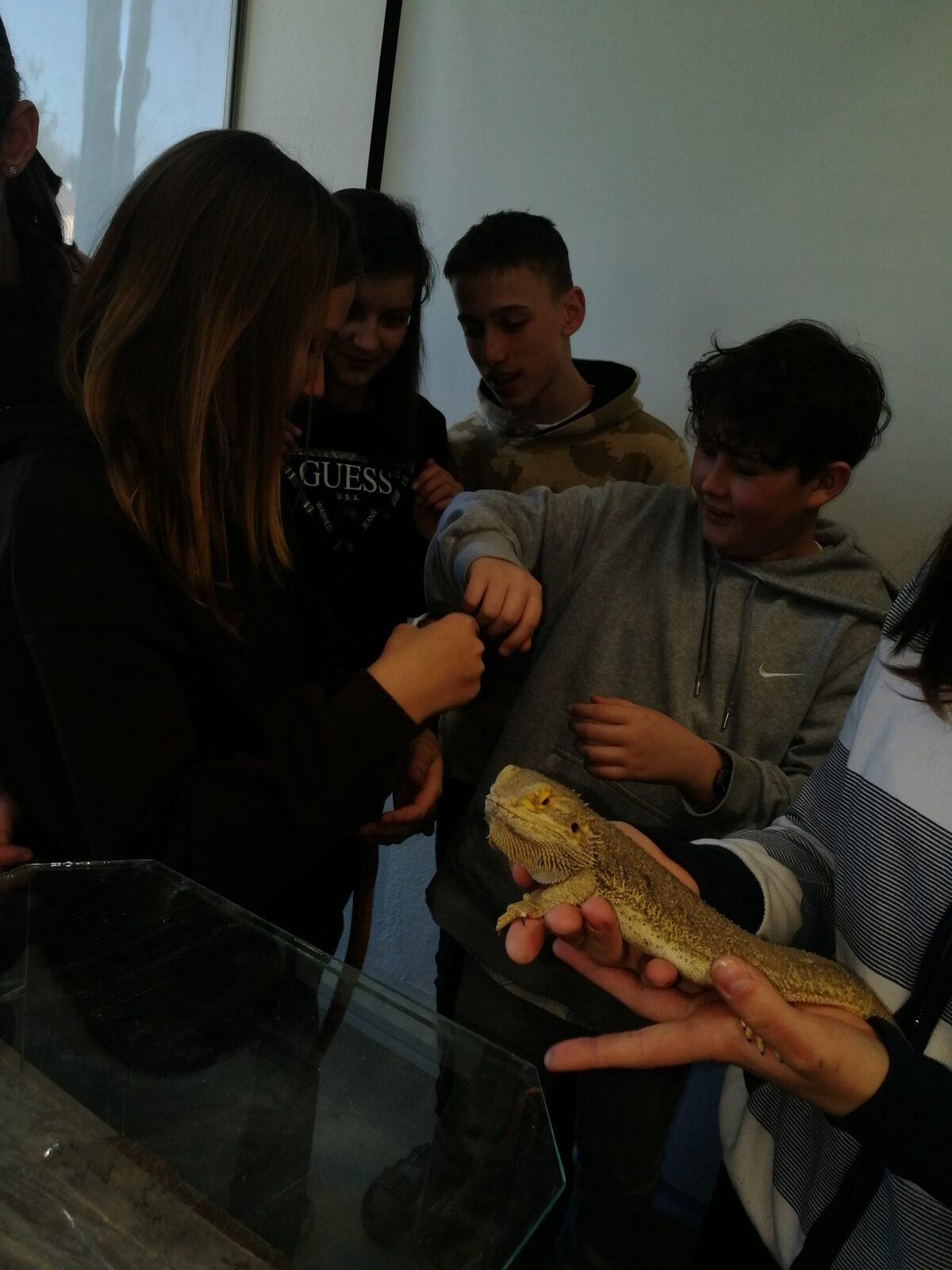 Exotická zvířata - přednáška - 15