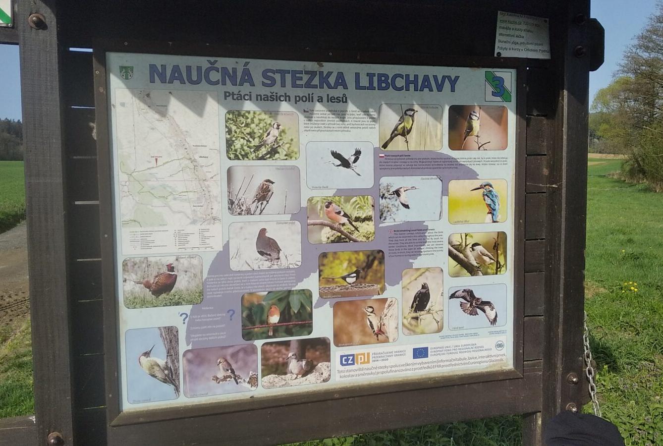 broučci: Co si brouká jarní louka... - 25