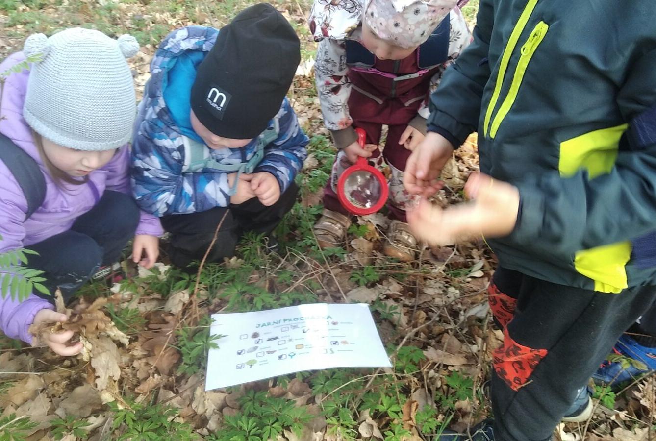 broučci: Co si brouká jarní louka... - 38