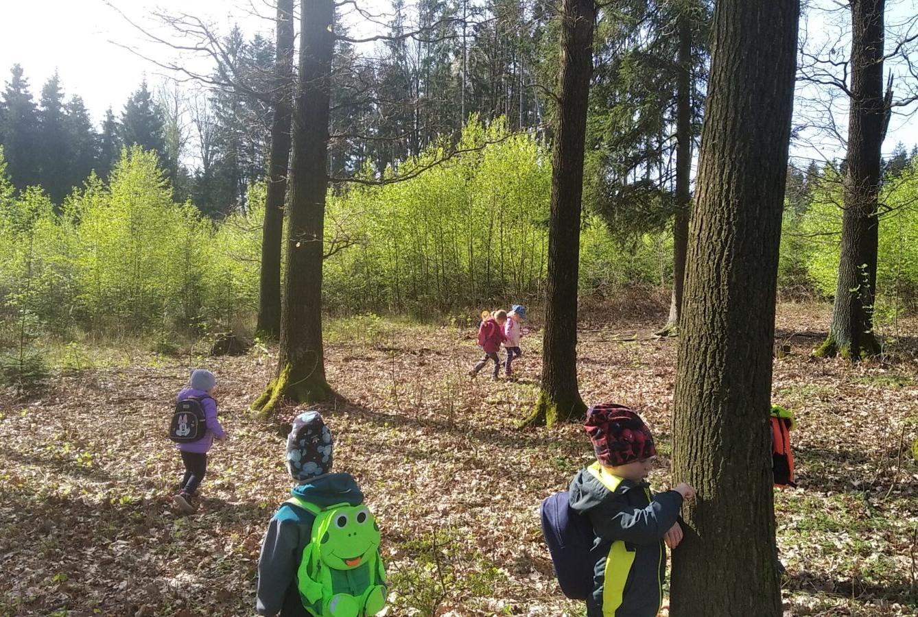 broučci: Co si brouká jarní louka... - 41