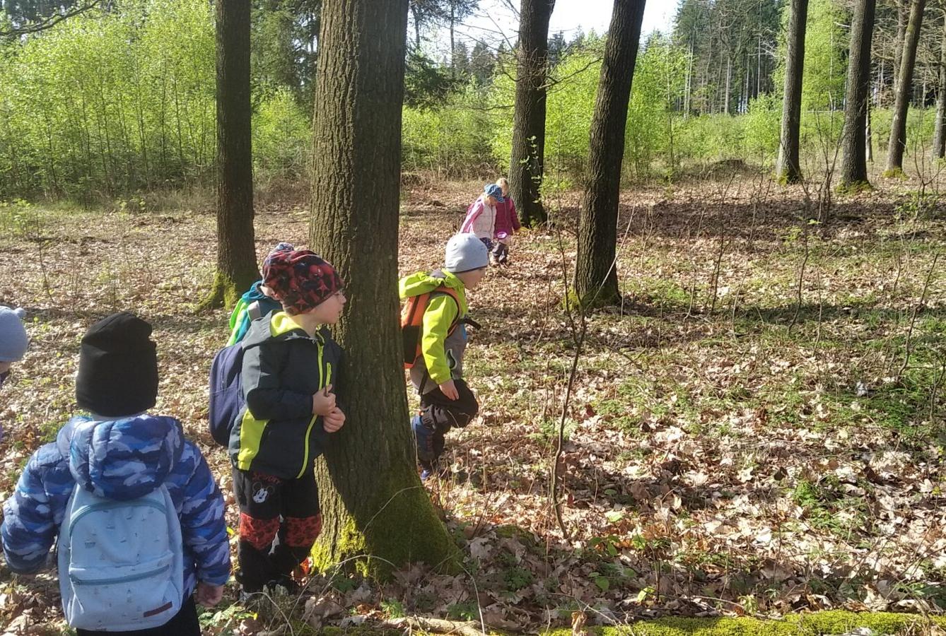 broučci: Co si brouká jarní louka... - 43