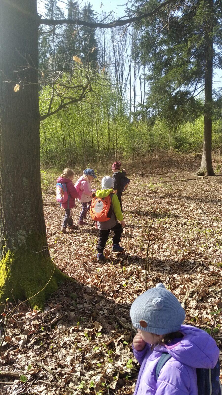 broučci: Co si brouká jarní louka... - 46