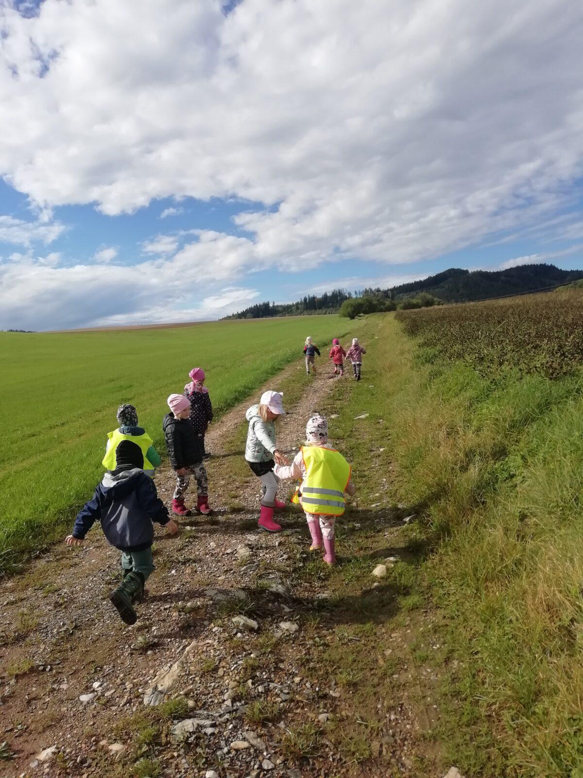 Broučci - Poznáváme les a lesní stezka ve školce - 13