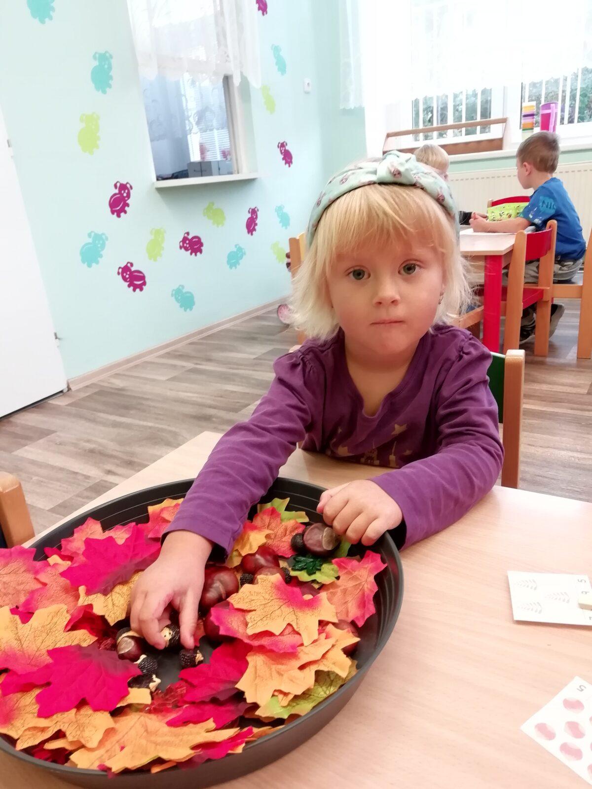 Broučci - Poznáváme les a lesní stezka ve školce - 22