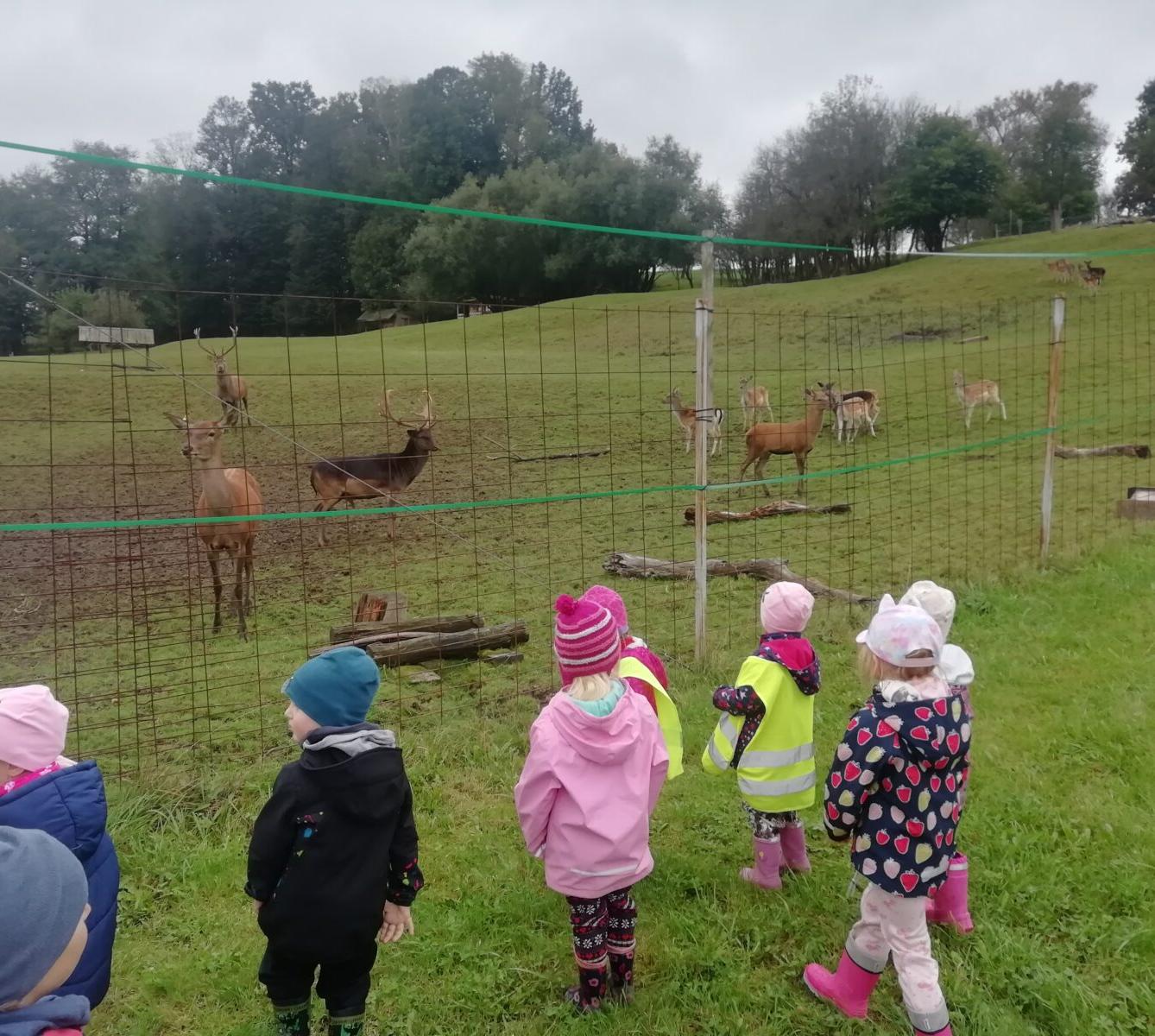 Broučci - Poznáváme les a lesní stezka ve školce - 36