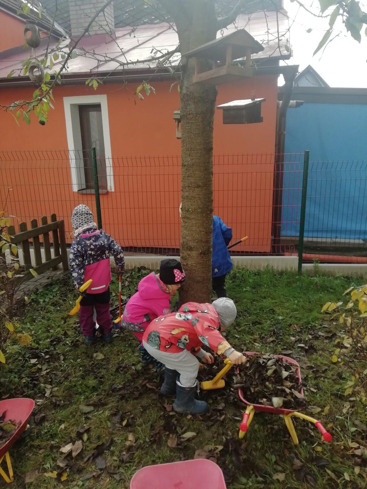 Broučci - Poznáváme les a lesní stezka ve školce - 37