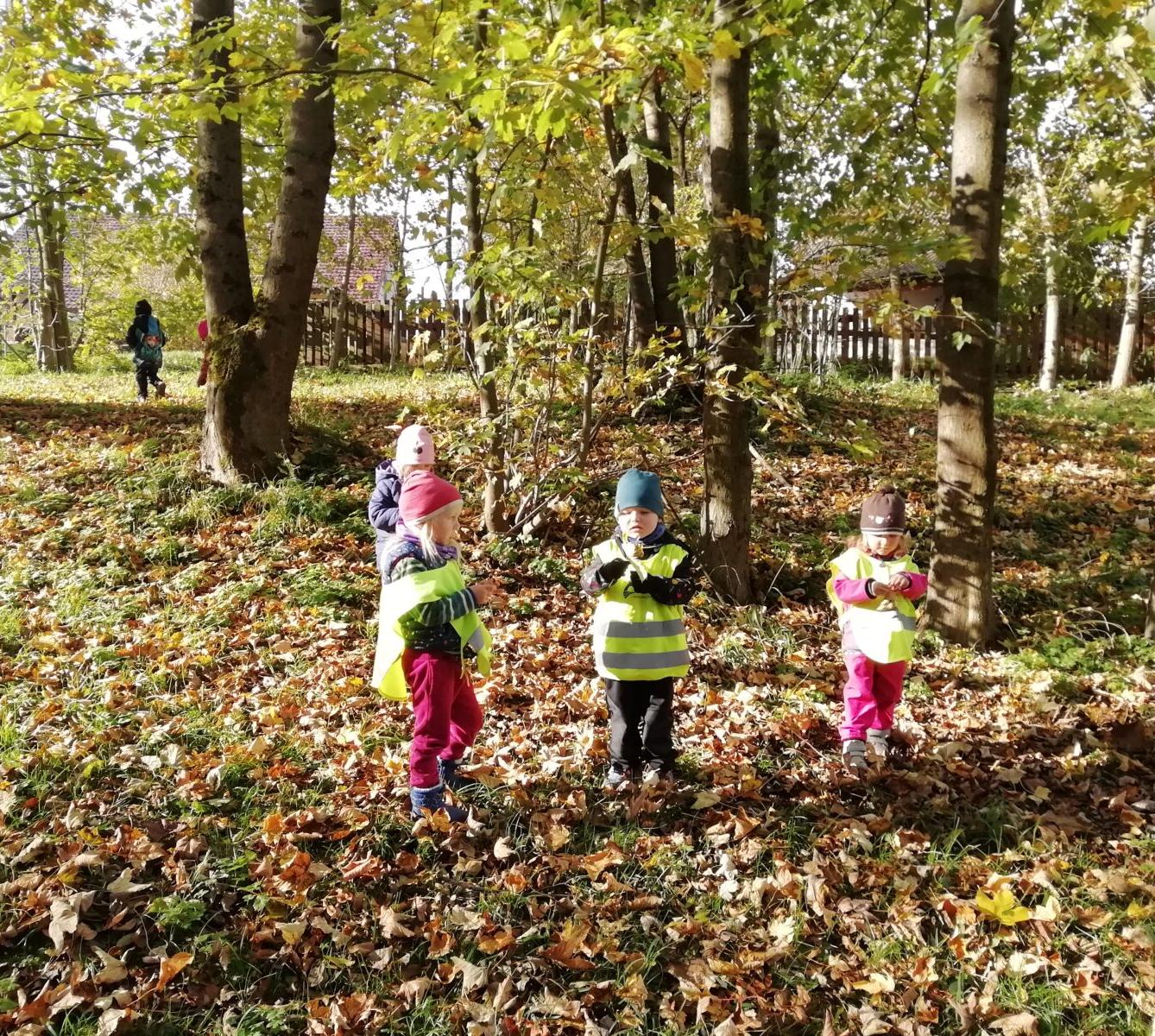 Broučci - Listí žloutne, poletuje - 1