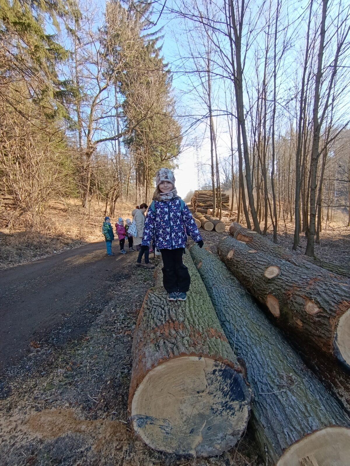 broučci a sovičky: „cestou necestou...“ - 35