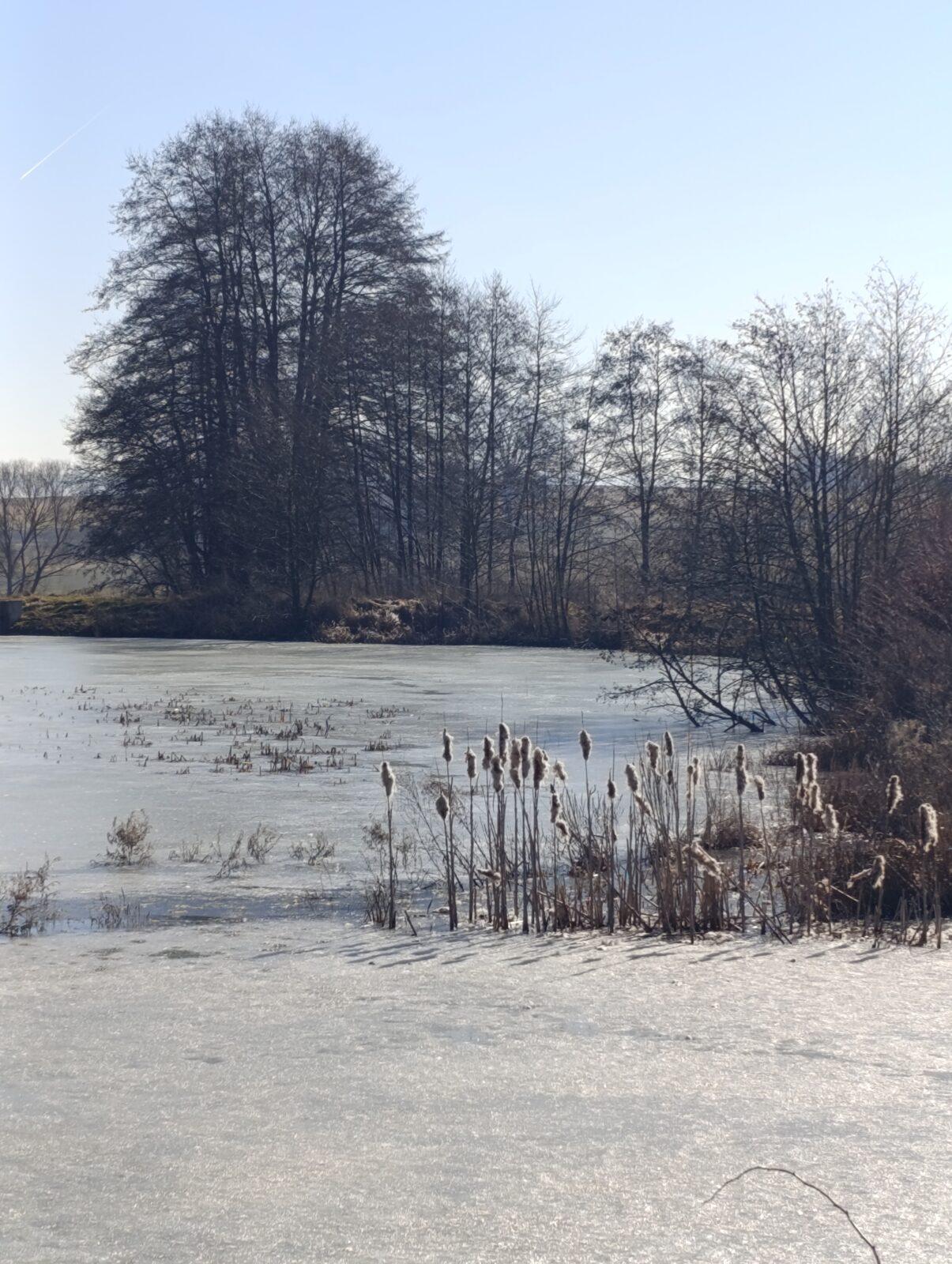 broučci a sovičky: „cestou necestou...“ - 57