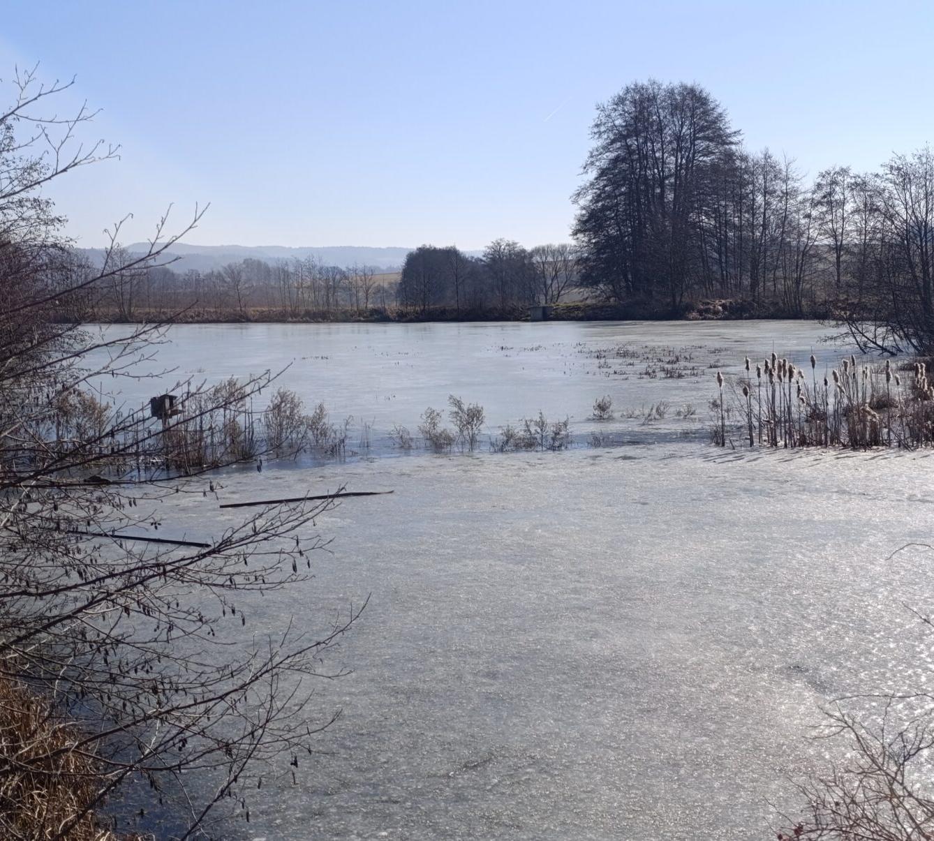 broučci a sovičky: „cestou necestou...“ - 58