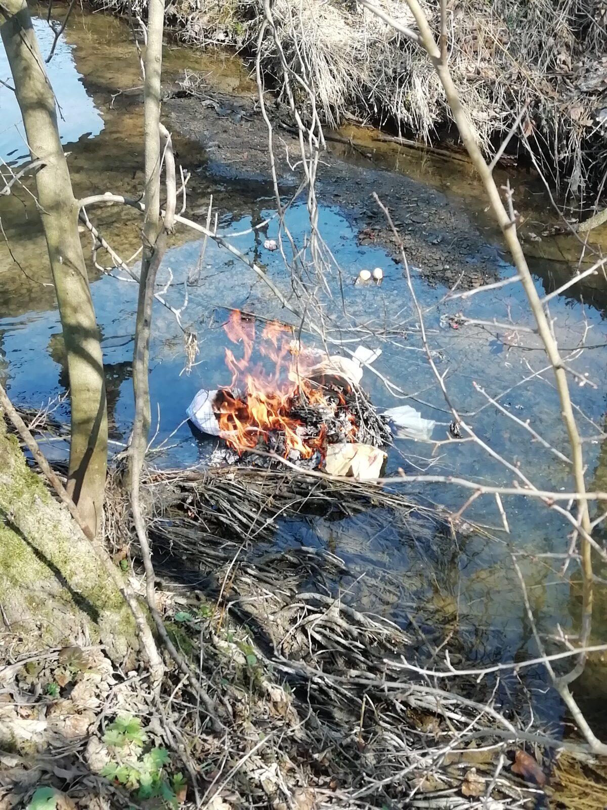 BROUČCI - ,,O ZAKLETÝCH STROMECH, PŘIŠLO JARO DO VSI´´ - 51
