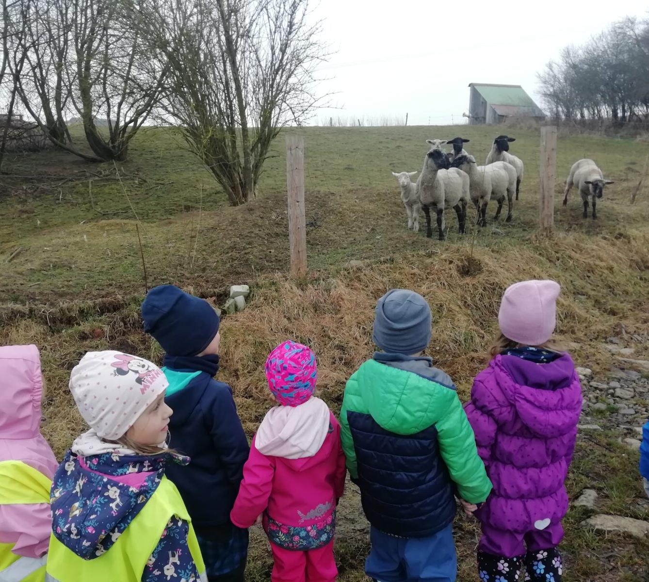 Broučci - Máme rádi zvířátka - 14