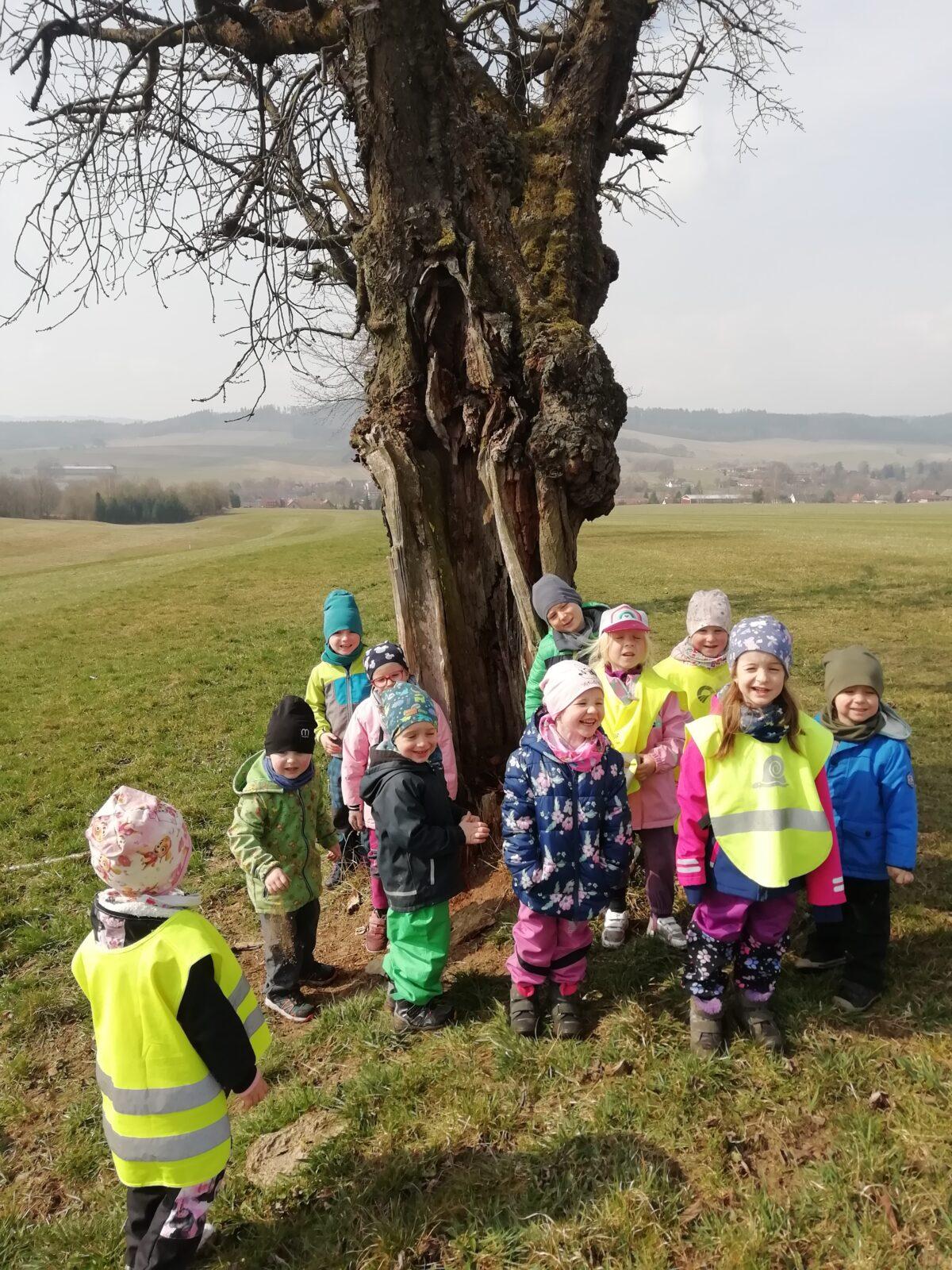 Broučci - Máme rádi zvířátka - 16