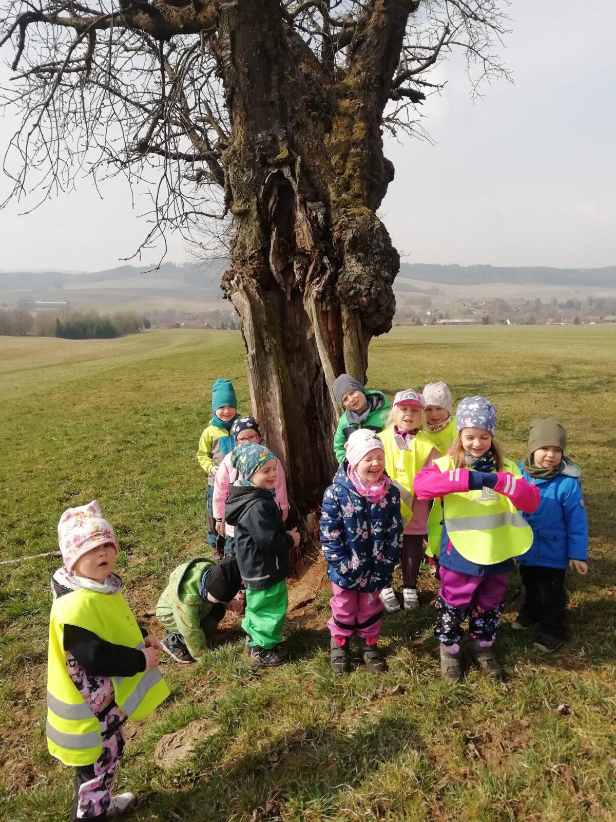 Broučci - Máme rádi zvířátka - 17