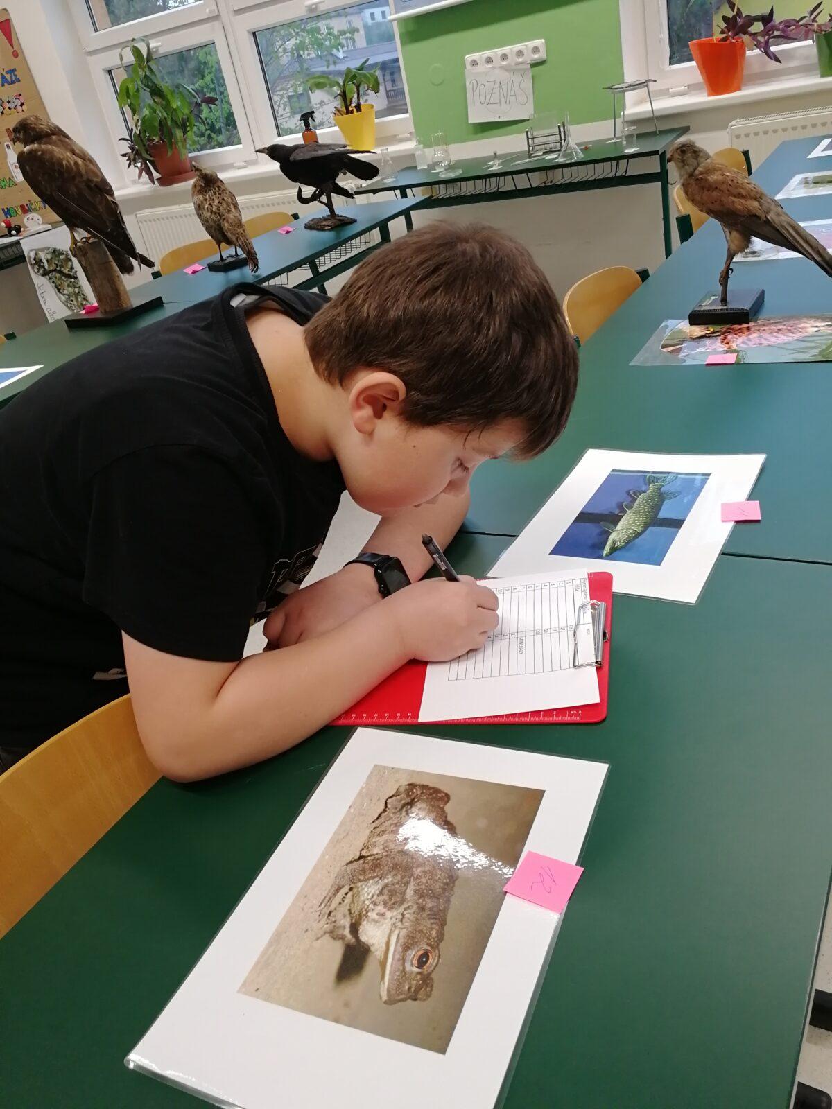 Poznávání přírodnin a minerálů - 2