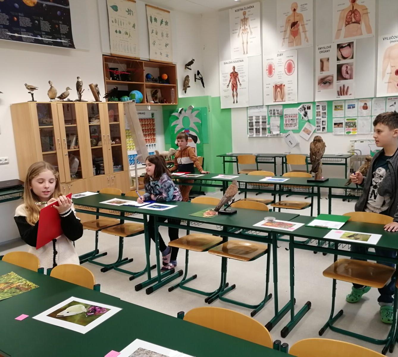 Poznávání přírodnin a minerálů - 4