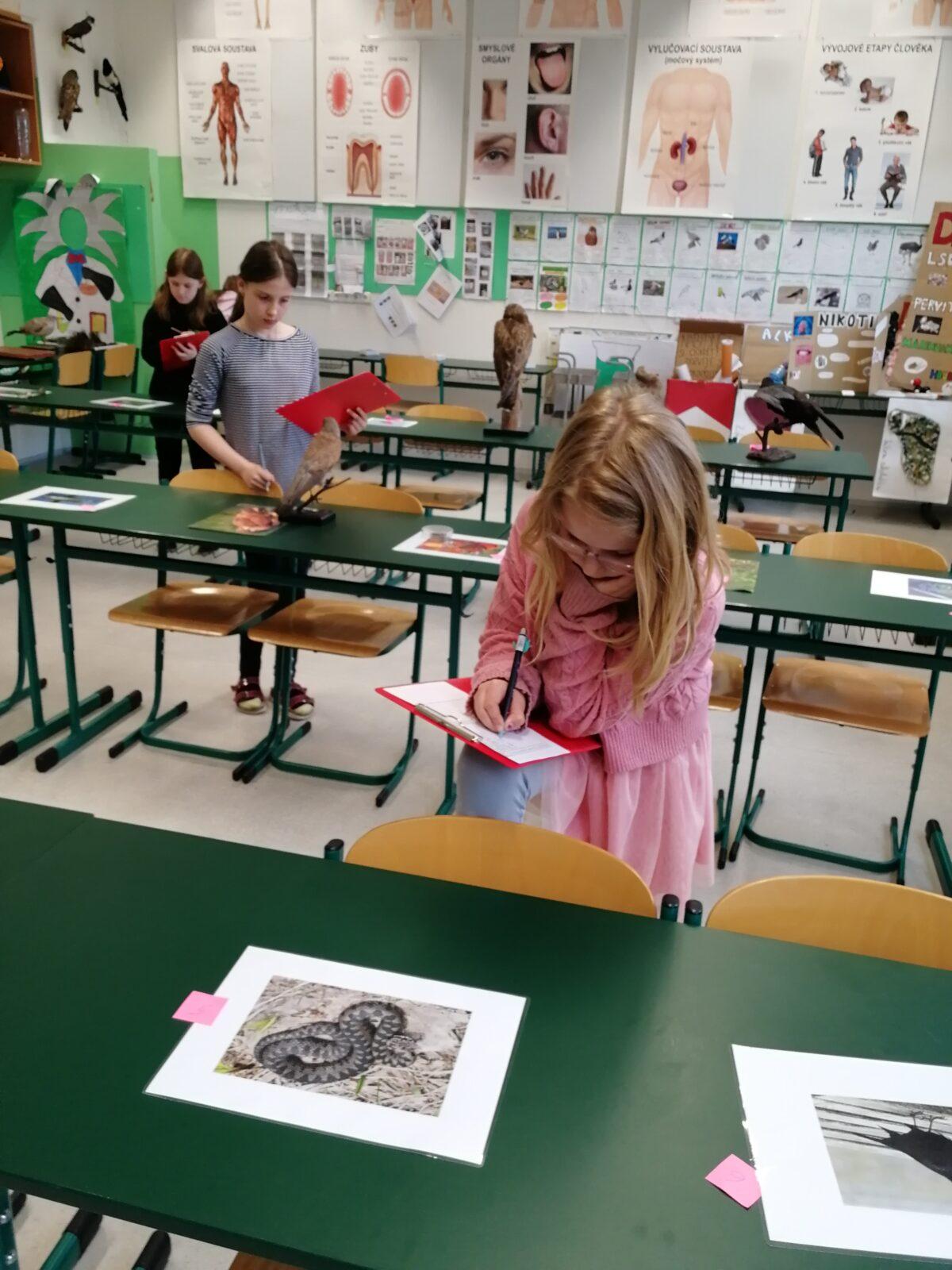 Poznávání přírodnin a minerálů - 10