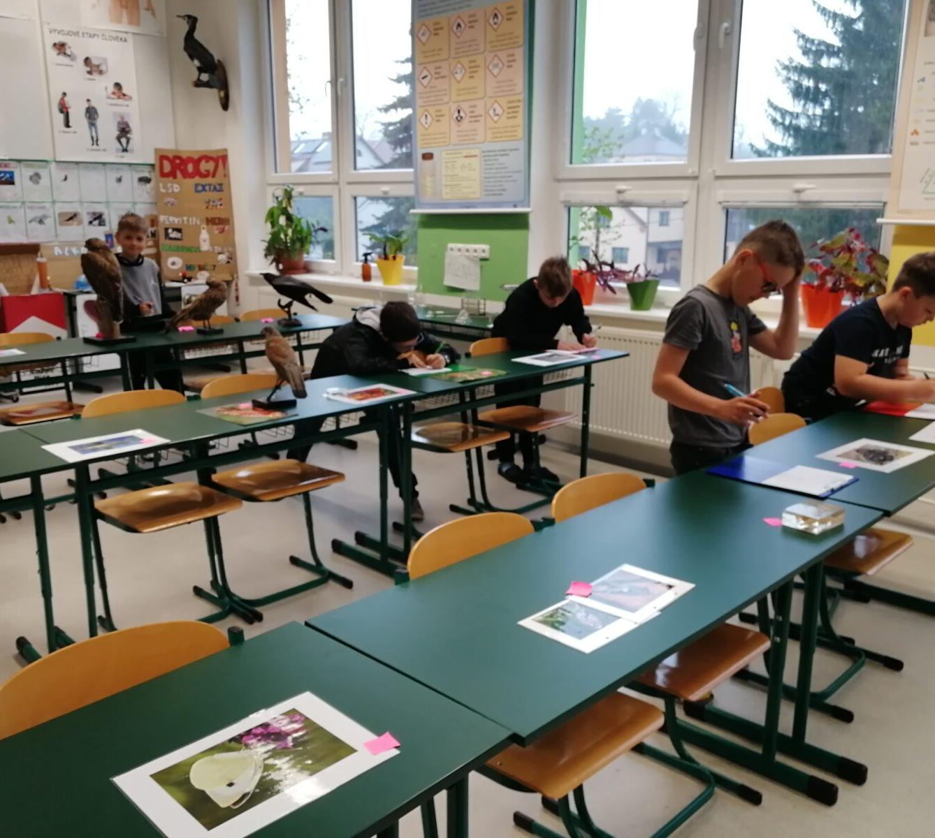 Poznávání přírodnin a minerálů - 12