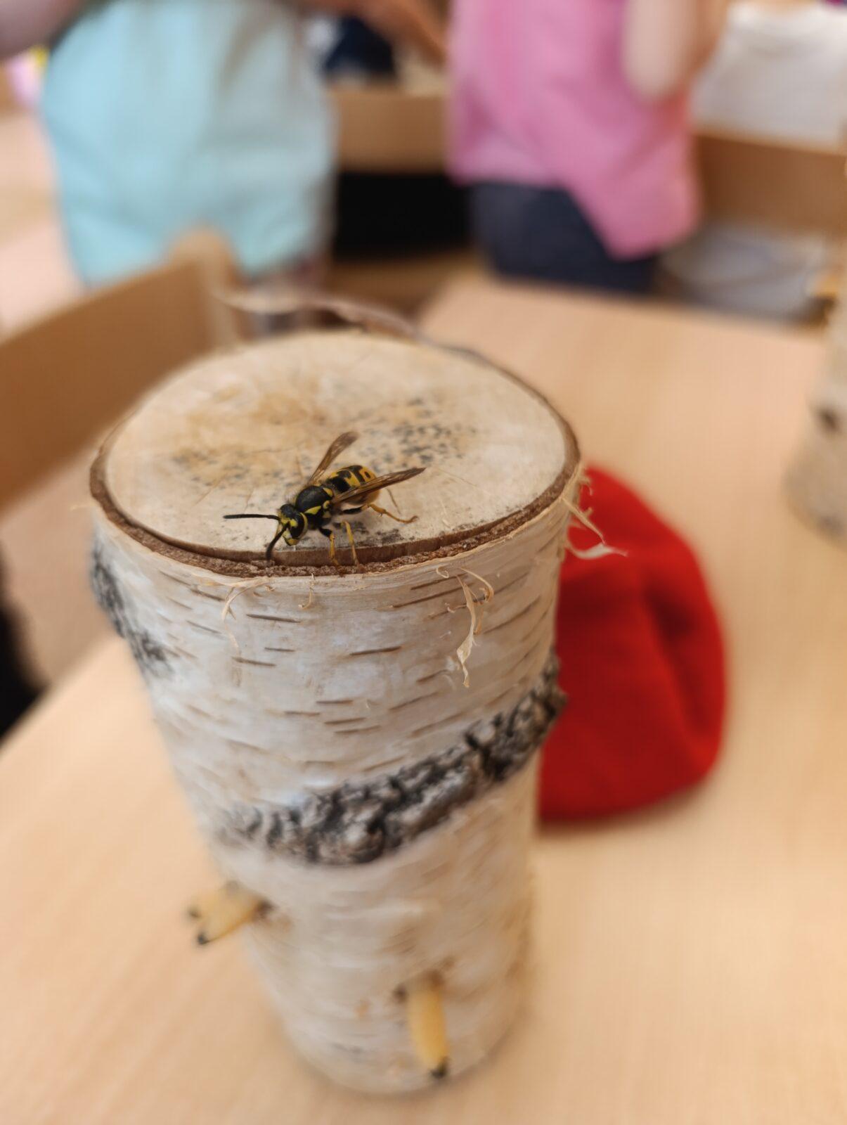 vzdělávací program v mš - ptáci - 19