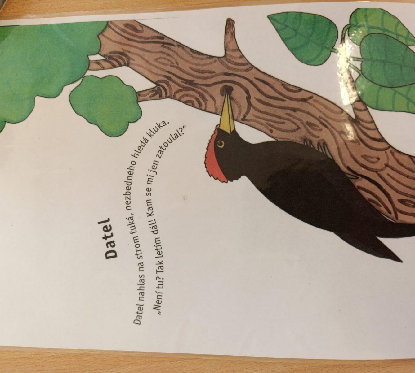 vzdělávací program v mš - ptáci - 35