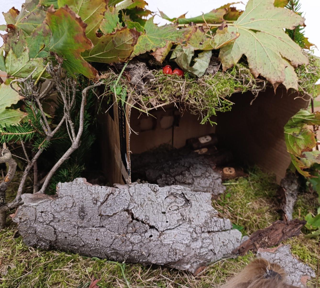 Broučci: poznáváme les - 34