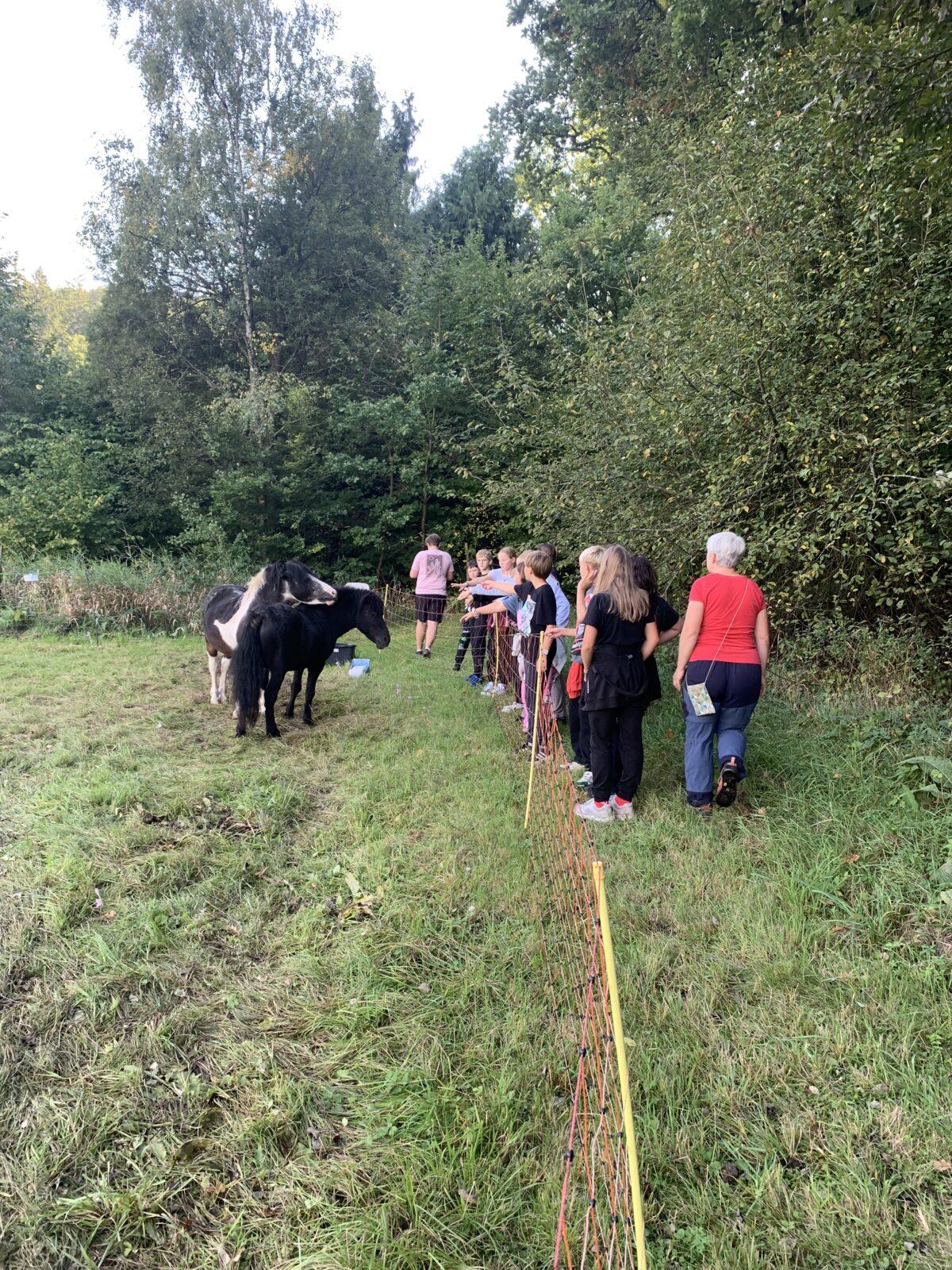 Adaptační kurz- den třetí - 14