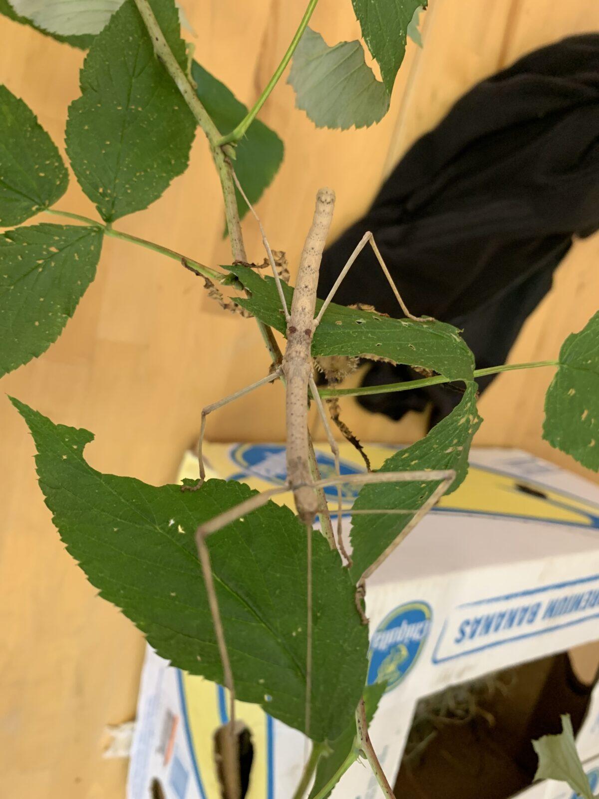 Adaptační kurz - den poslední - 7