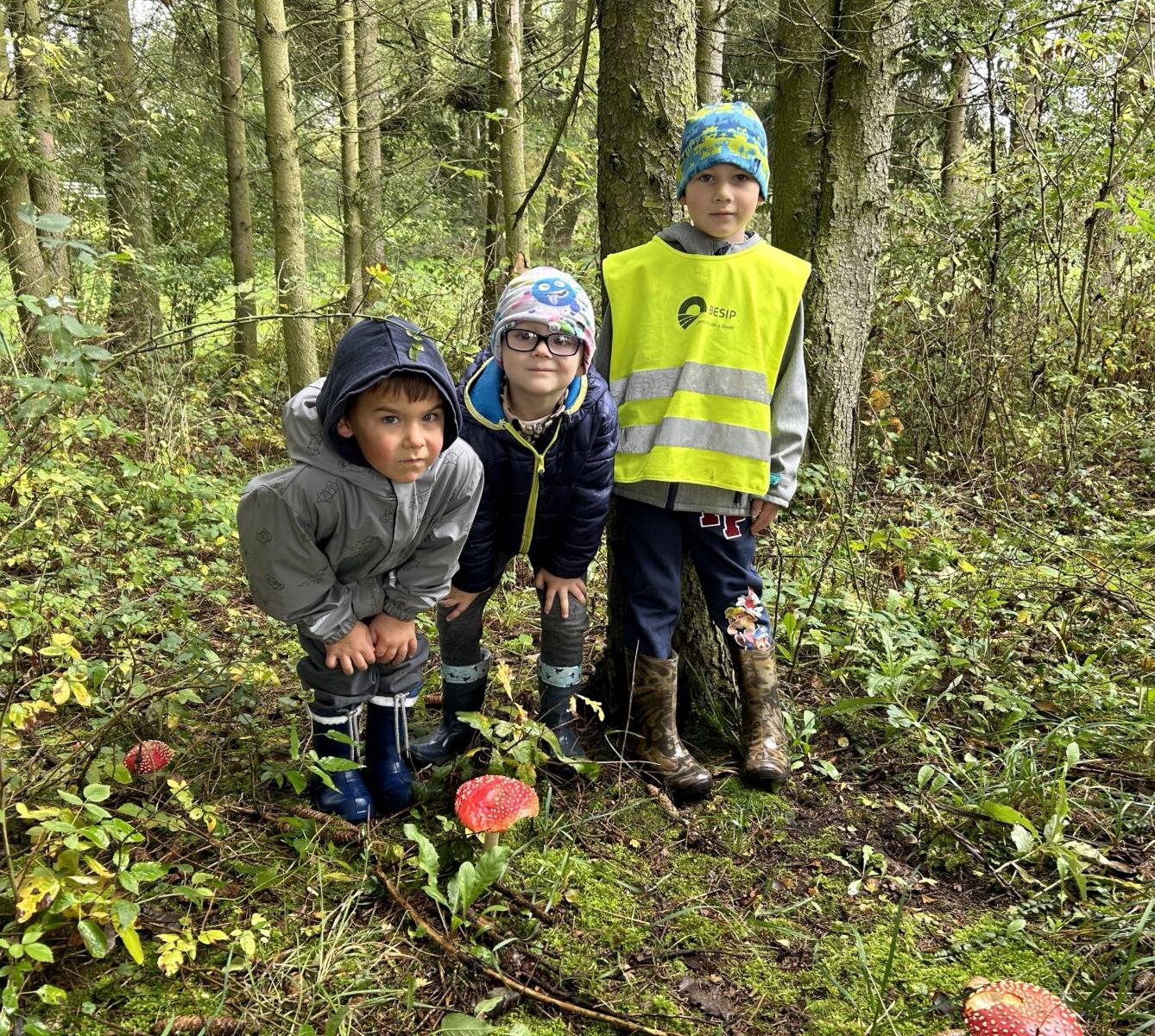 SOVIČKY: LESNÍ HRÁTKY SE ZVÍŘÁTKY - 14