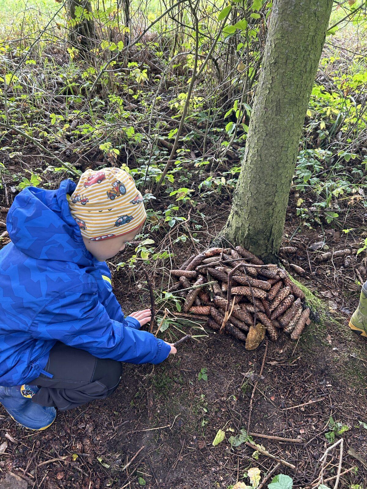 SOVIČKY: LESNÍ HRÁTKY SE ZVÍŘÁTKY - 23
