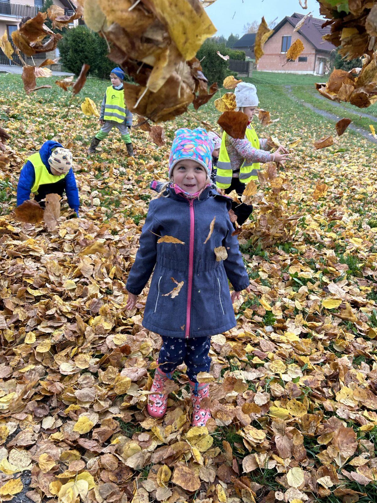 SOVIČKY: LISTÍ ŽLOUTNE, POLETUJE - 59