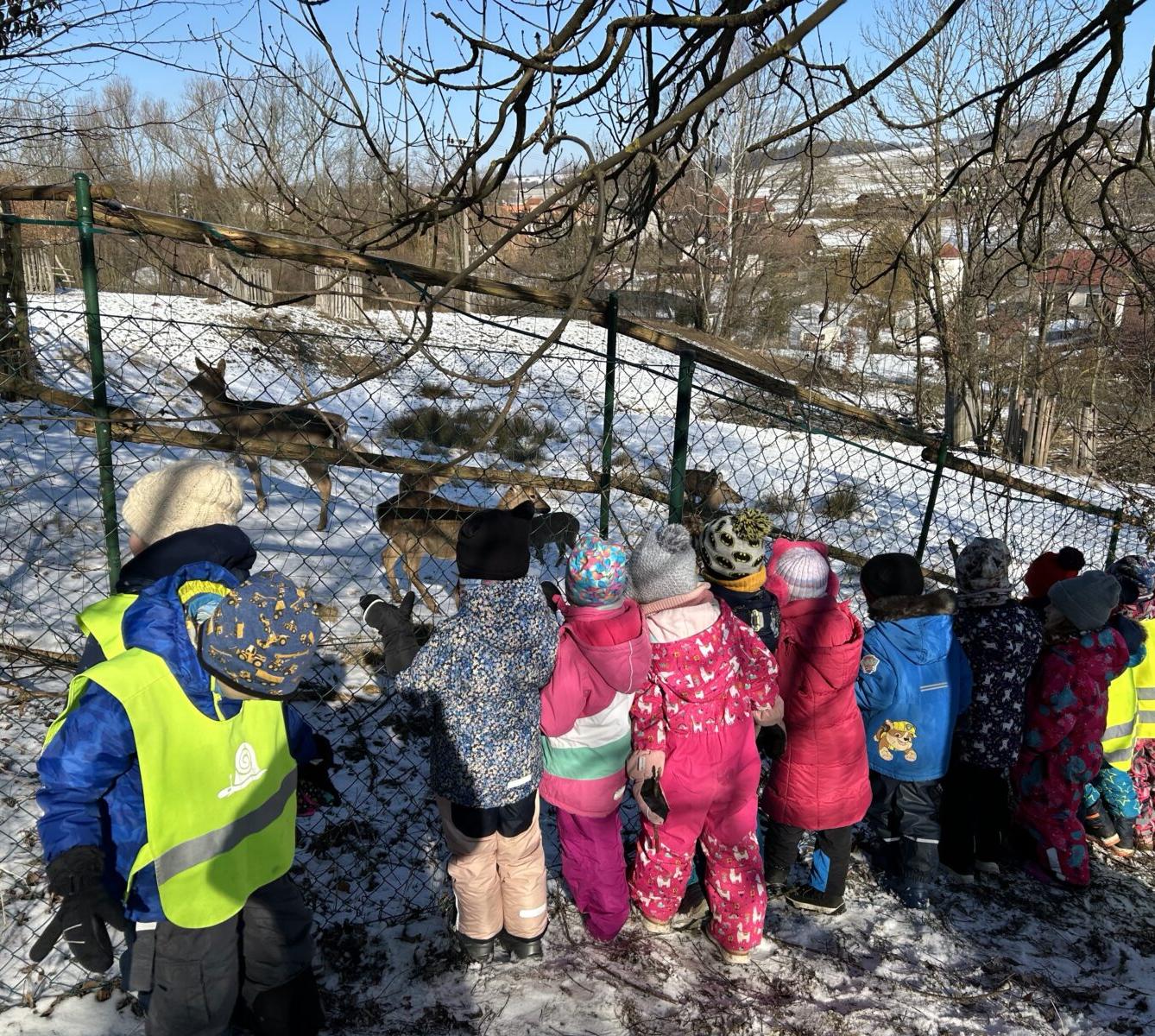 SOVIČKY: ZIMA NÁM NEVADÍ - 19