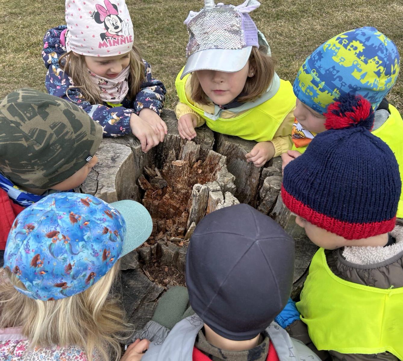 SOVIČKY: ,,O ZAKLETÝCH STROMECH, PŘIŠLO JARO DO VSI" - 20