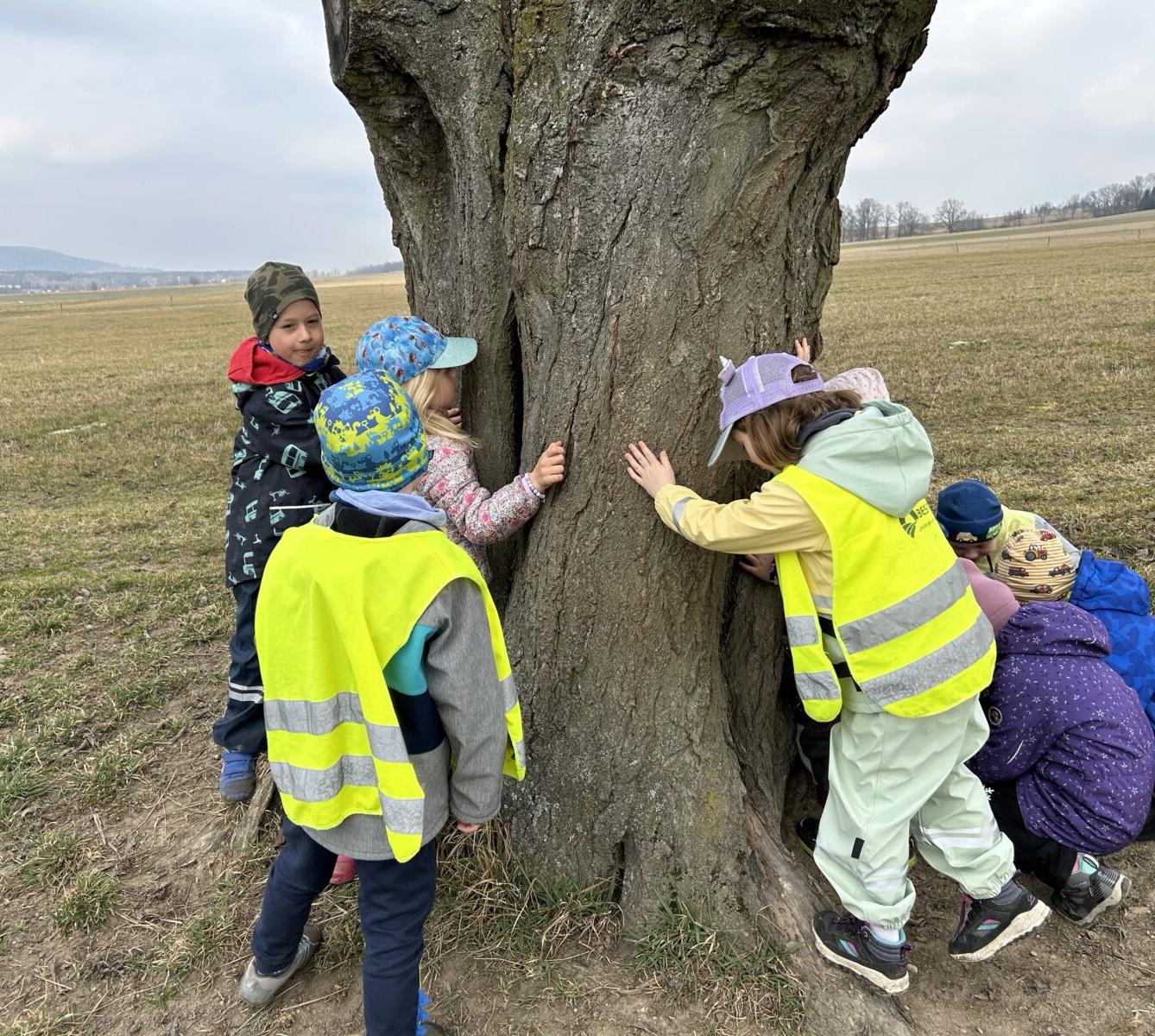 SOVIČKY: ,,O ZAKLETÝCH STROMECH, PŘIŠLO JARO DO VSI" - 22