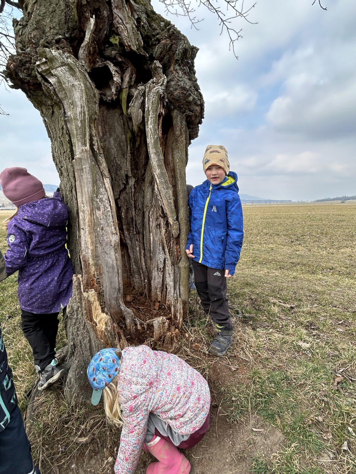 SOVIČKY: ,,O ZAKLETÝCH STROMECH, PŘIŠLO JARO DO VSI" - 25