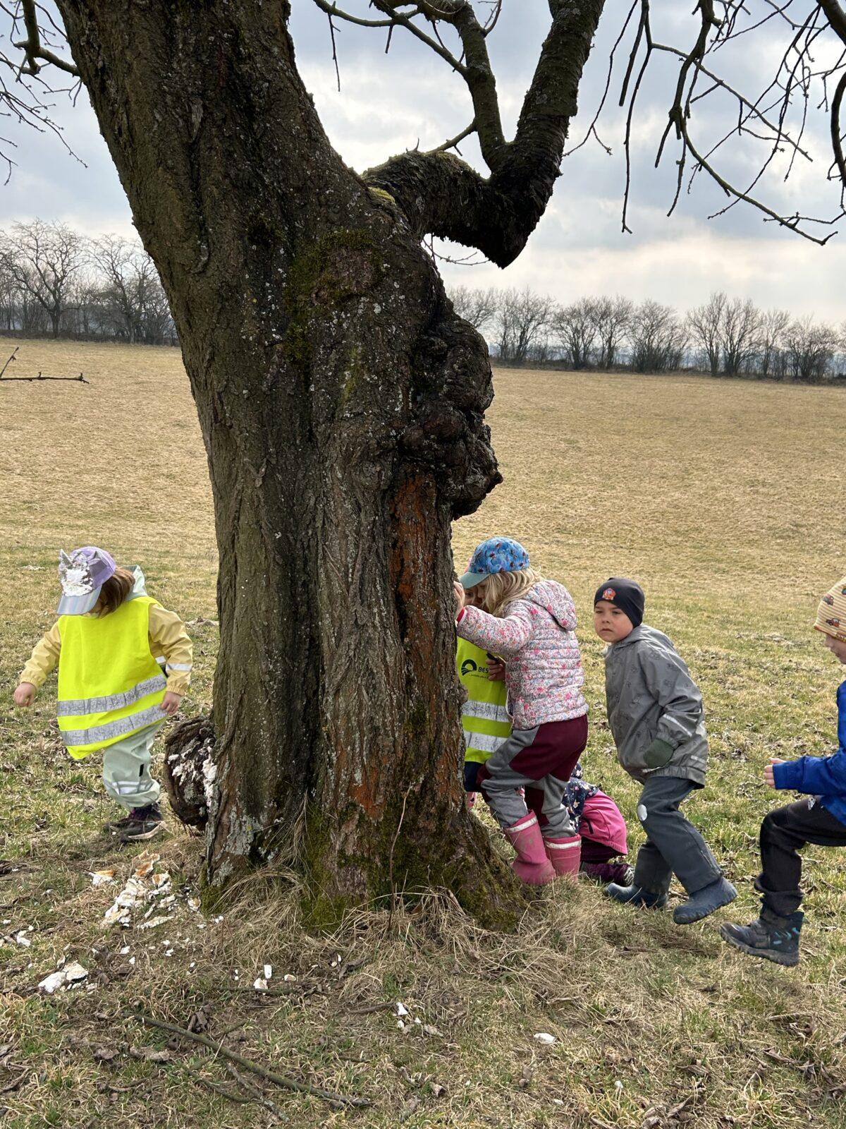 SOVIČKY: ,,O ZAKLETÝCH STROMECH, PŘIŠLO JARO DO VSI" - 27