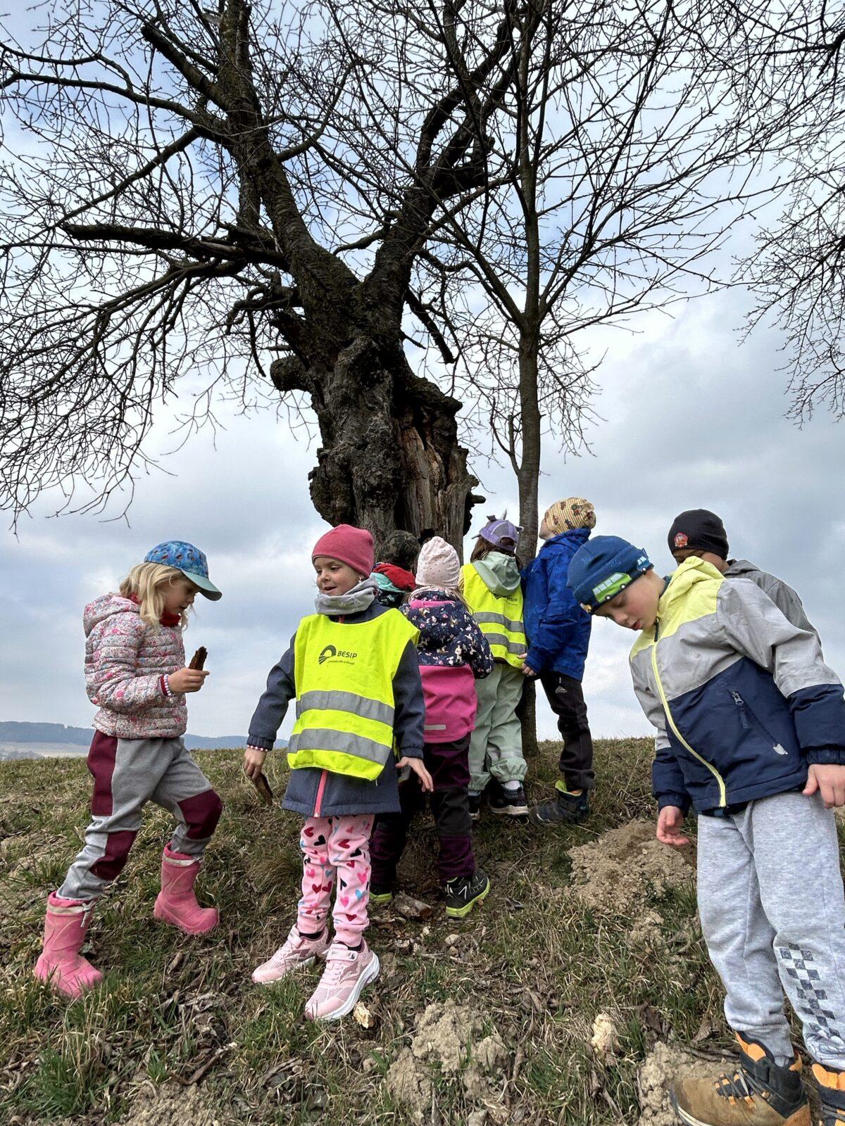 SOVIČKY: ,,O ZAKLETÝCH STROMECH, PŘIŠLO JARO DO VSI" - 30