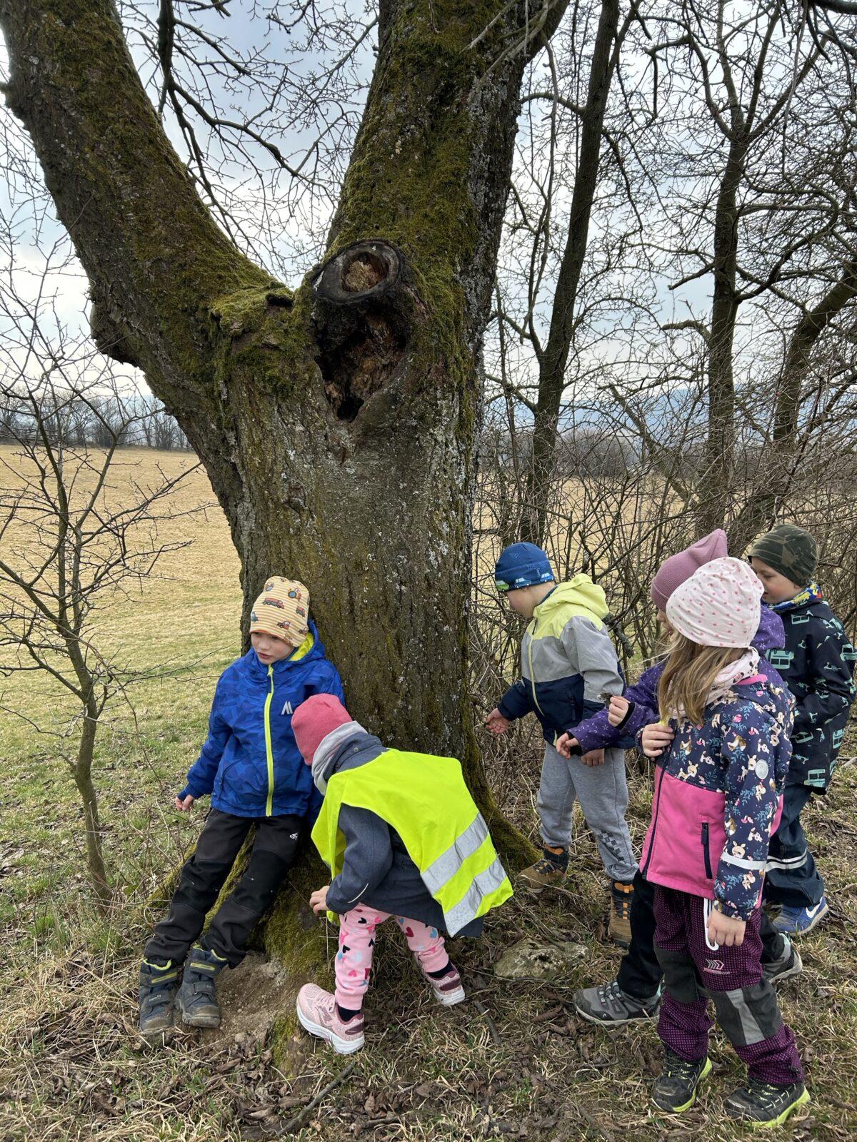 SOVIČKY: ,,O ZAKLETÝCH STROMECH, PŘIŠLO JARO DO VSI" - 31