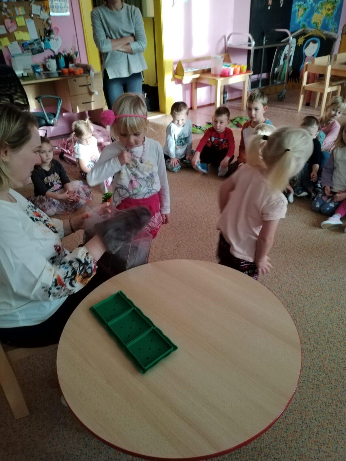 Vzdělávací program "Krteček" :-) - 42