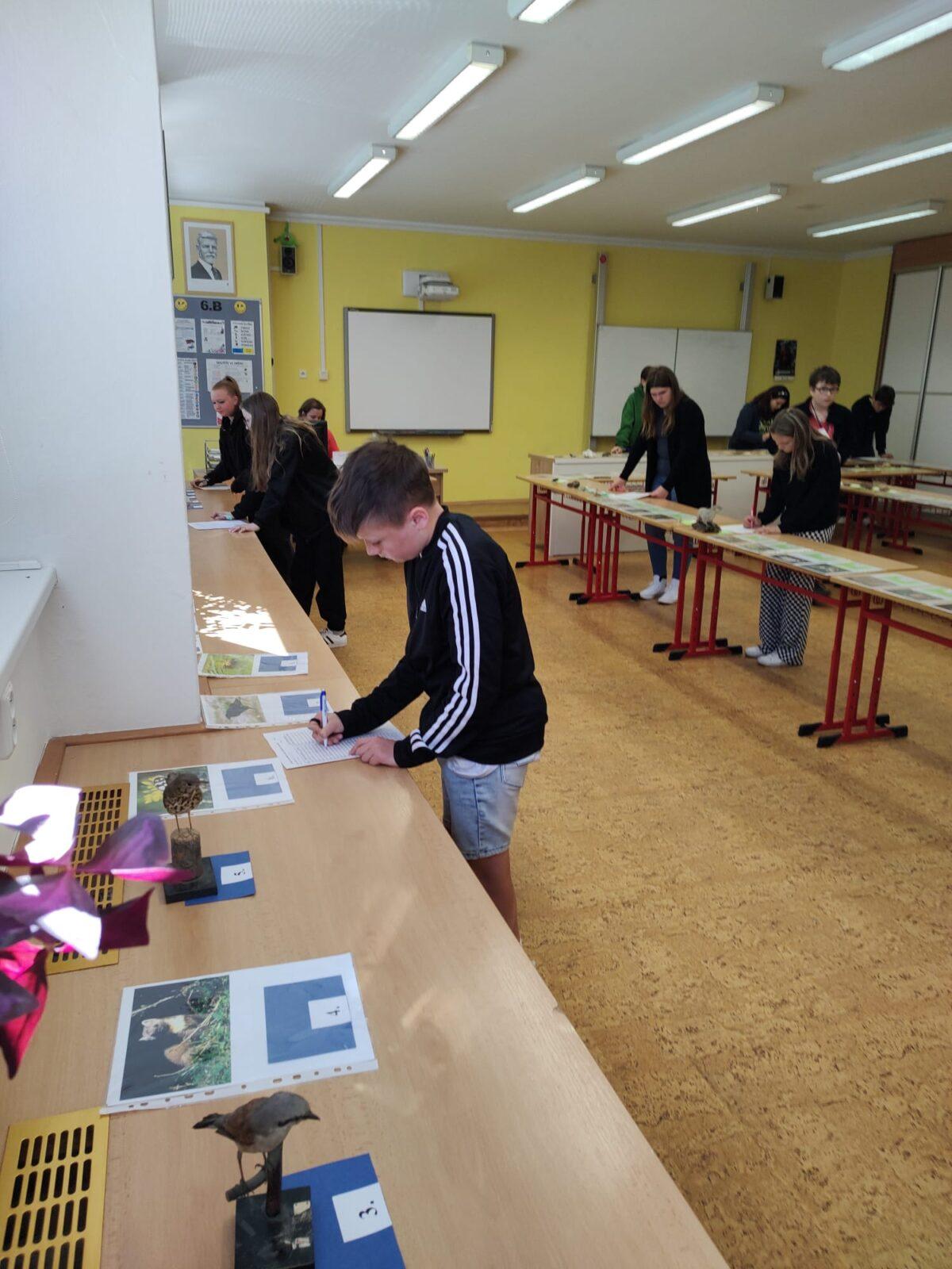 Poznávání přírodnin a minerálů II.st. - 6