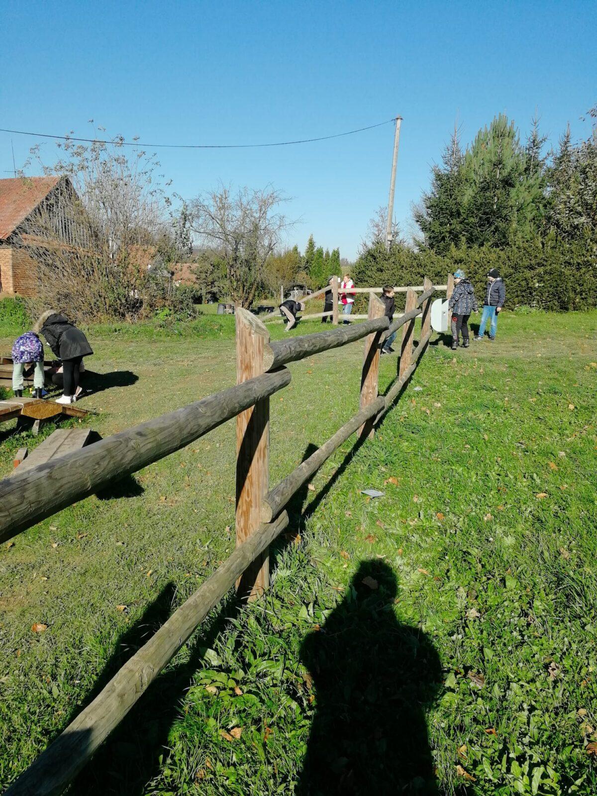 Projekt DEN STROMŮ - 5