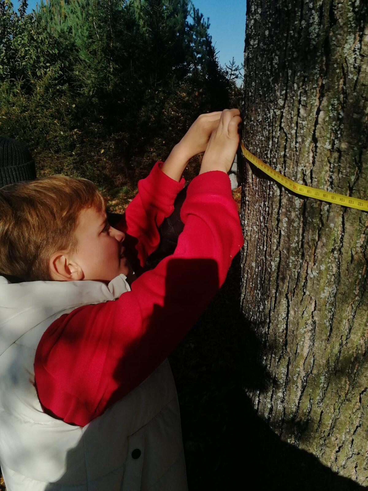 Projekt DEN STROMŮ - 6