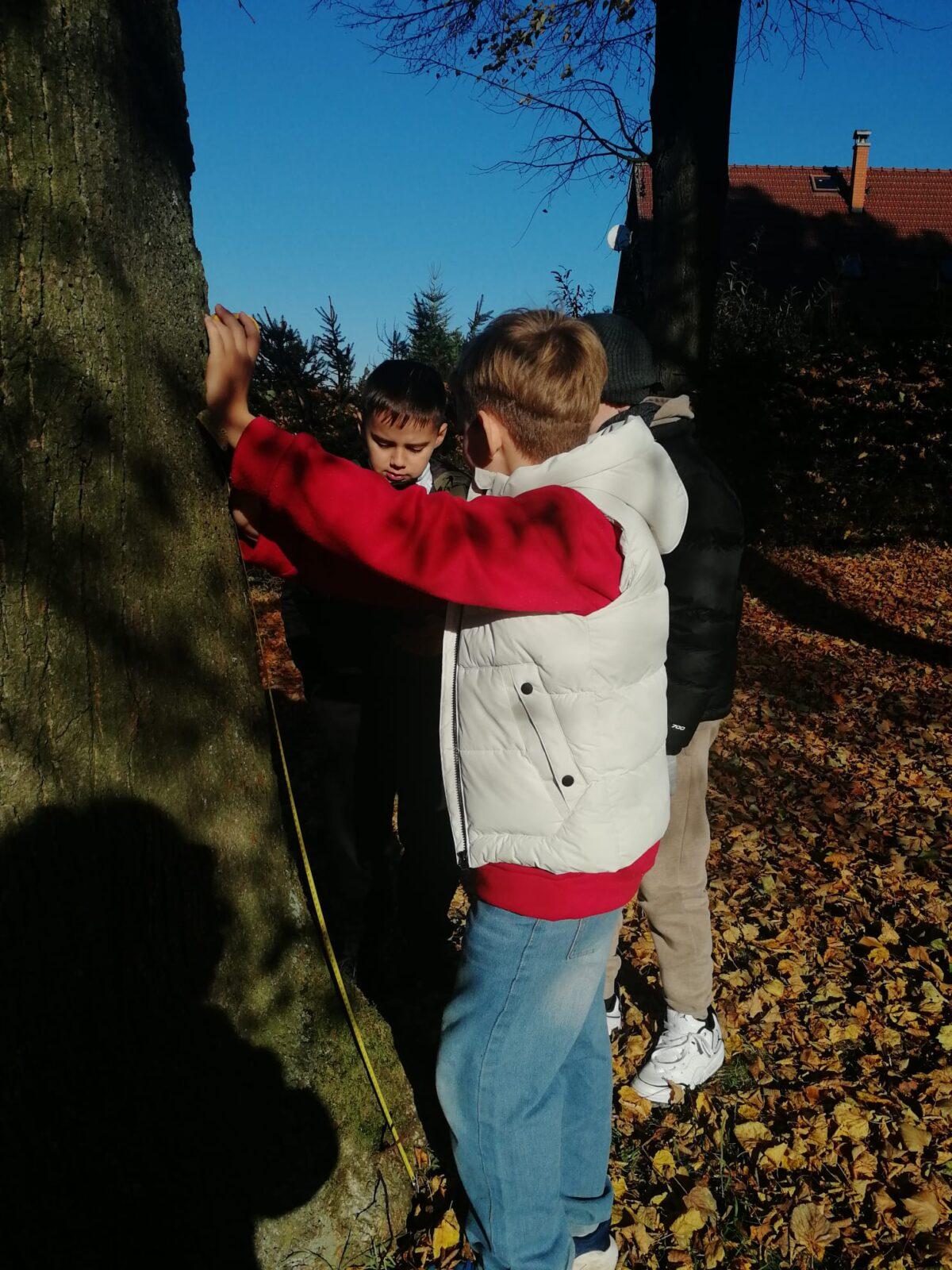 Projekt DEN STROMŮ - 8